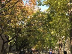 -山东师范大学(千佛山校区)