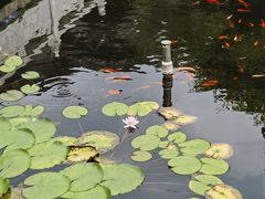 -粉小主·贵州酸汤牛肉粉(南京仙林金鹰店)