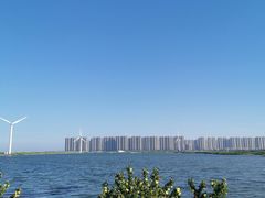 -启东黄金海滩景区
