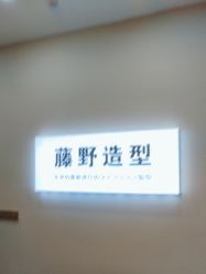 点击看大图 -藤野造型