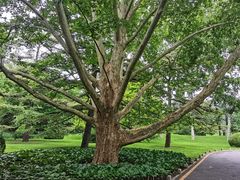 -北京动物园-畅观楼