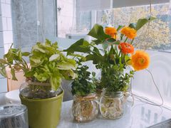 -美丽心情蛋糕(江苏路店)