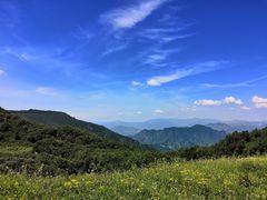 -白草畔自然风景区