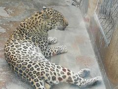 -西安秦岭野生动物园