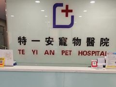 -特一安24小时宠物医院·骨科·中兽医