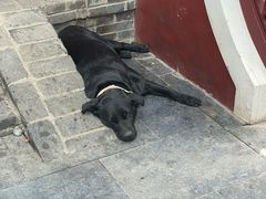 -长春观