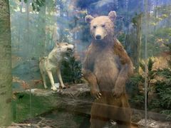 -国家自然博物馆