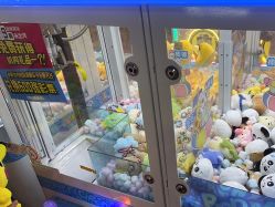 -卡通尼乐园(上海安亭店)