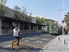-国际邮轮中心码头(厦鼓码头)
