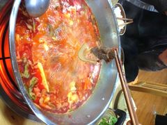 酸辣牛肉火锅-苗阿哥