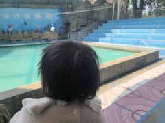 -合肥野生动物园