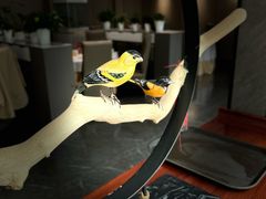 -卫鼎轩·家宴(水上公园店)
