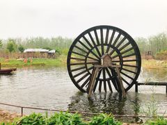 -合肥滨湖国家森林公园