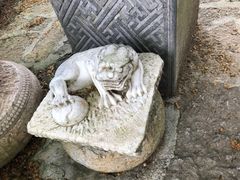 -贵州省植物园
