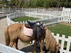 -前小桔亲子创意农场·草莓采摘·露营烧烤