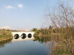 -眉山湿地公园(东坡区)