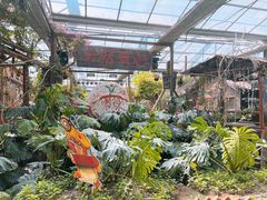 -呀路古热带植物园