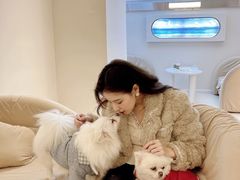 -怪兽屋·羊驼·猫咖·狗咖(俊华广场店)