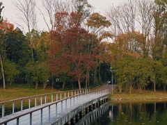 -长广溪湿地公园