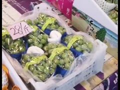 晴王-沈阳市八家子水果批发市场