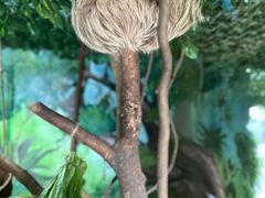 -杭州野生动物世界