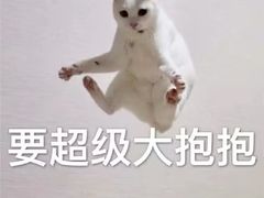 -HONGA HONGA雄家(曹路店)