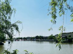 -八大山人梅湖景区