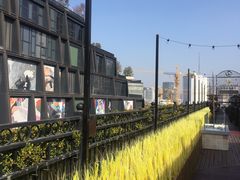 -上海月星家居(澳门路店)