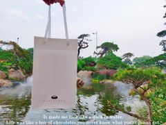 -罗红摄影艺术馆