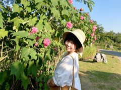 -广西壮族自治区药用植物园