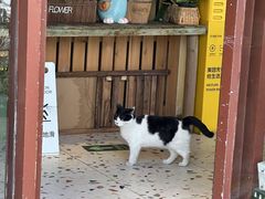 -萤火虫咖啡(后海店)