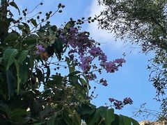 -金山植物公园