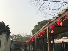 -长兴岛郊野公园农场食堂