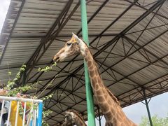 -秦皇岛野生动物园