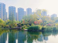 -和平公园