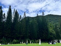 -深圳仙湖植物园