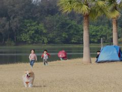 -仙湖旅游度假区