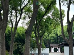 -上海方塔园