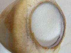 椰子冻-志龙皇冠吃货椰子铺