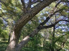 -长春市南湖公园