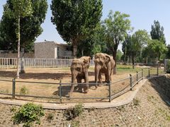 -石家庄市动物园