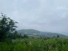 -东白山