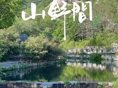 -无染寺