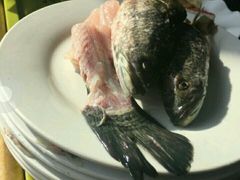 -活鱼馆(宜兴埠店)