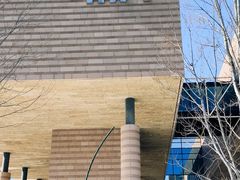 -清华大学艺术博物馆