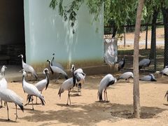 -秦皇岛野生动物园