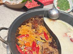 -鸿姐老火锅·传统炒料(上海旗舰店)