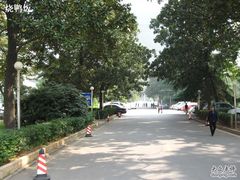 -长沙市青少年宫