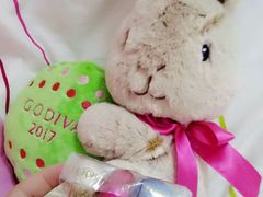 -GODIVA(海岸城店)