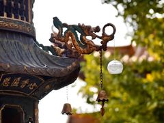 -遵化市禅林寺古银杏风景园